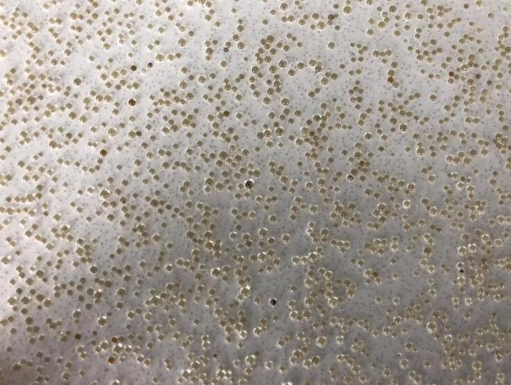 抚州 油田固井玻璃微珠 耐压